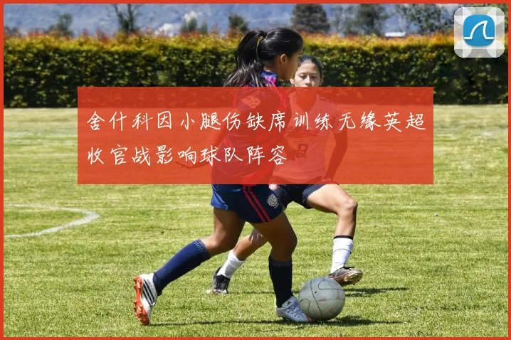 舍什科因小腿伤缺席训练无缘英超收官战影响球队阵容